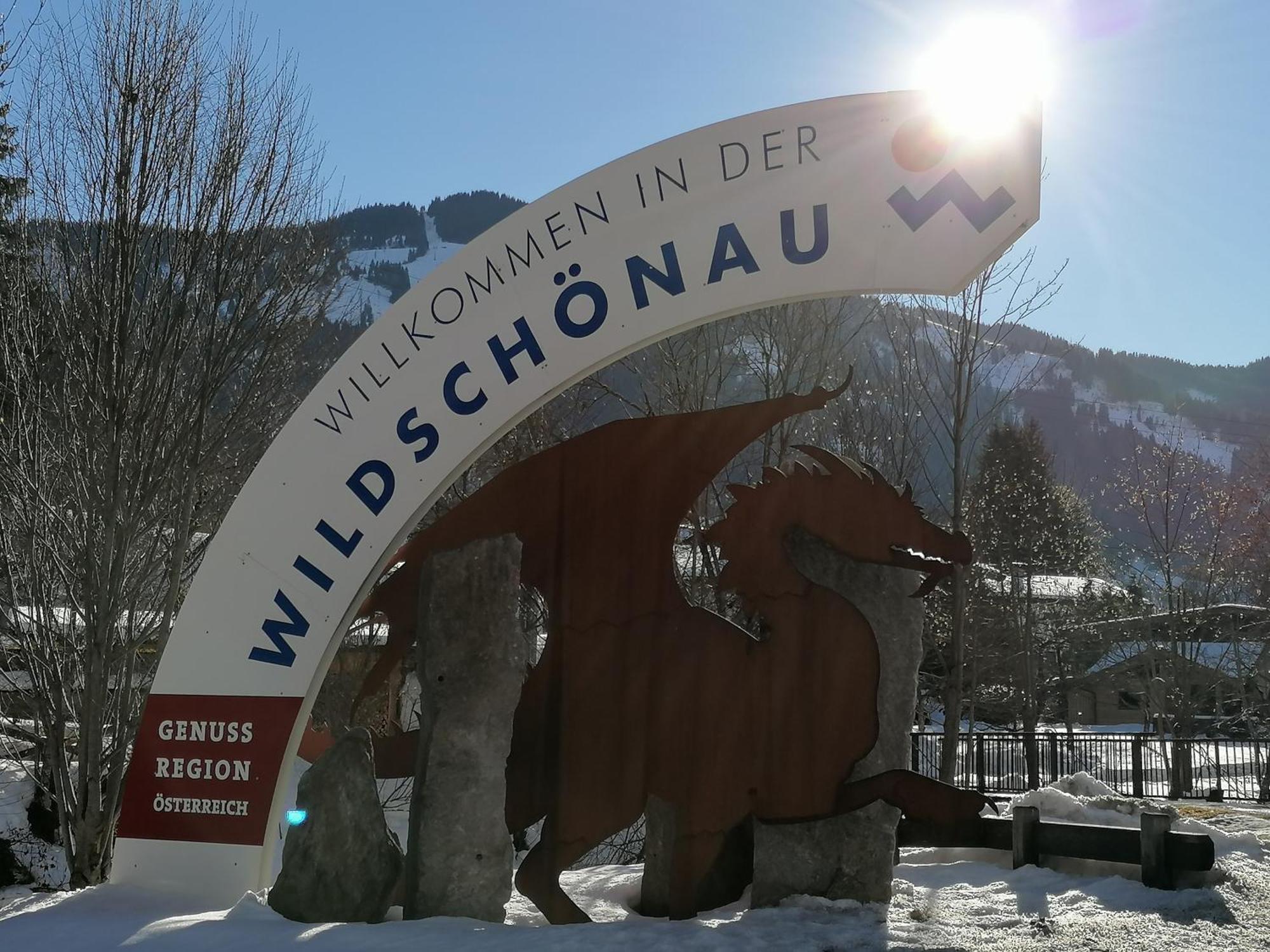 Ferienwohnung Wildschoenau By Fewo-Plan In Panoramalage Wild191 Thierbach Eksteriør bilde